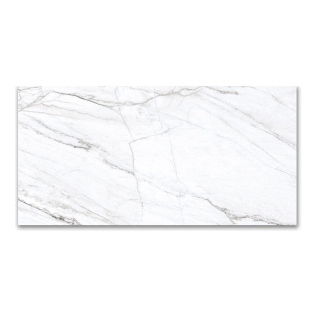 Qualis Ceramica 24" x 48" Mystique Rectified Polished Porcelain Tile