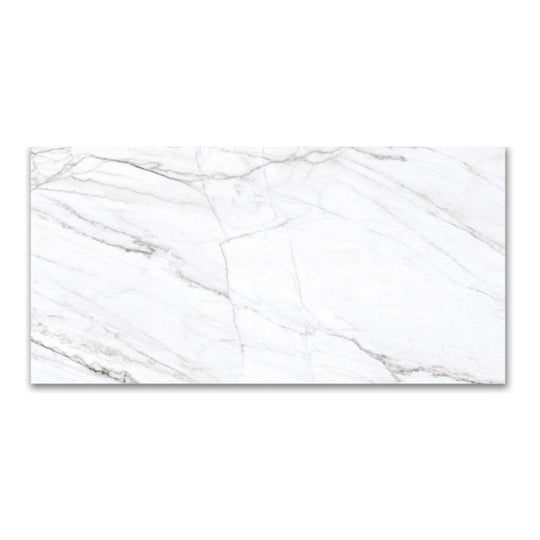 Qualis Ceramica 24" x 48" Mystique Rectified Polished Porcelain Tile