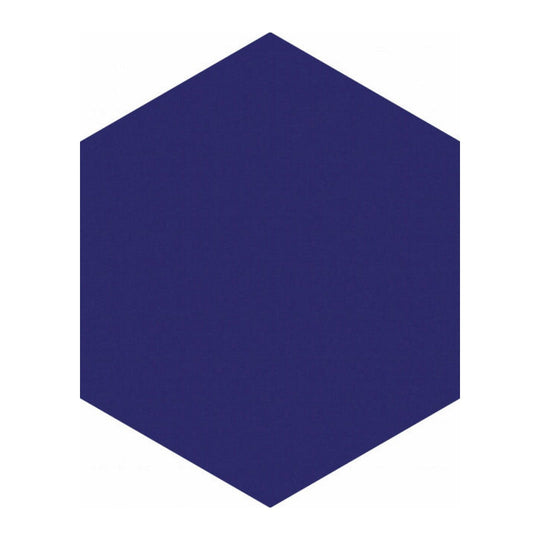 Qualis Ceramica 5.5" x 6.3" Ronda Glossy Porcelain Hexagon Tile