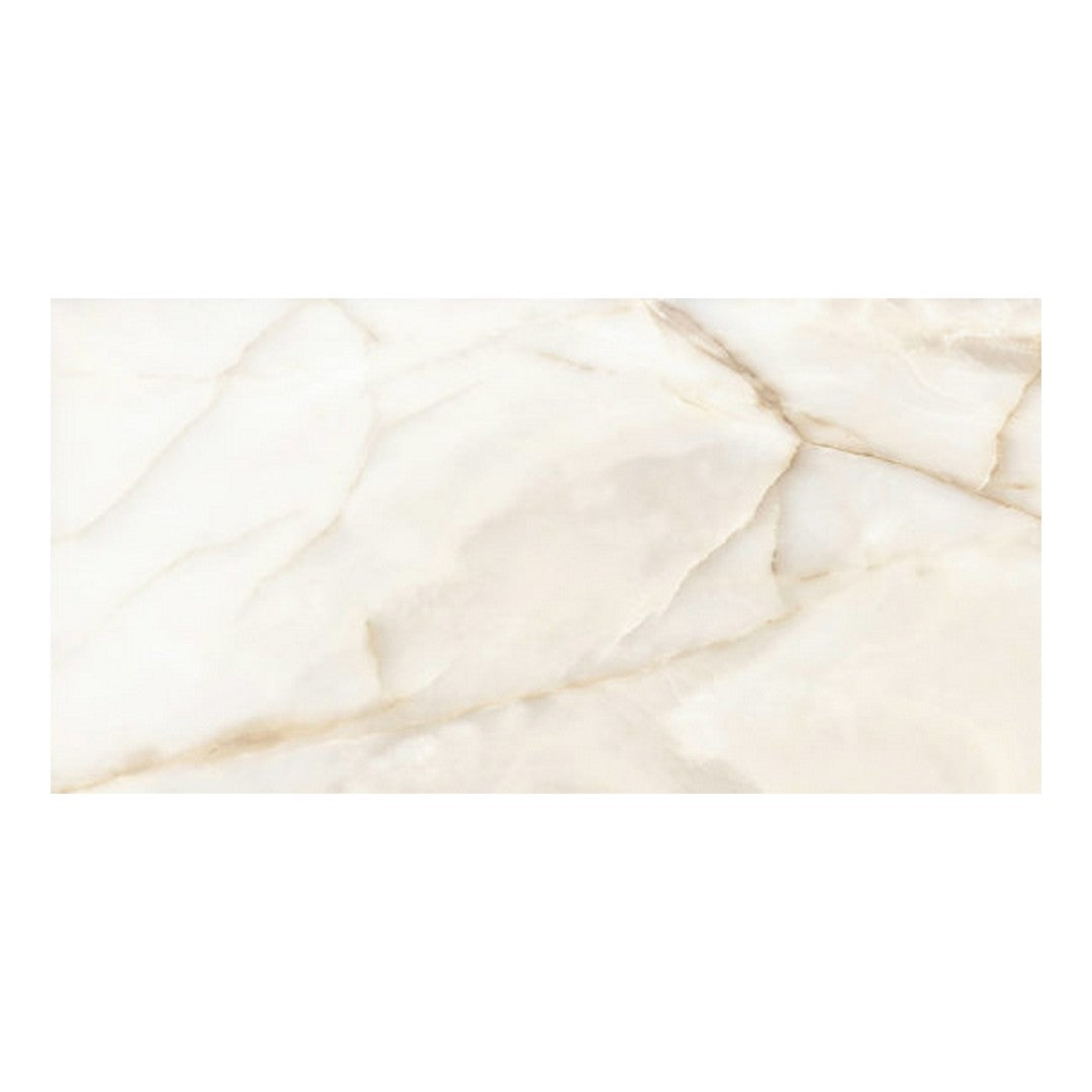 Qualis Ceramica 24" x 48" Romance Rectified Polished Porcelain Tile