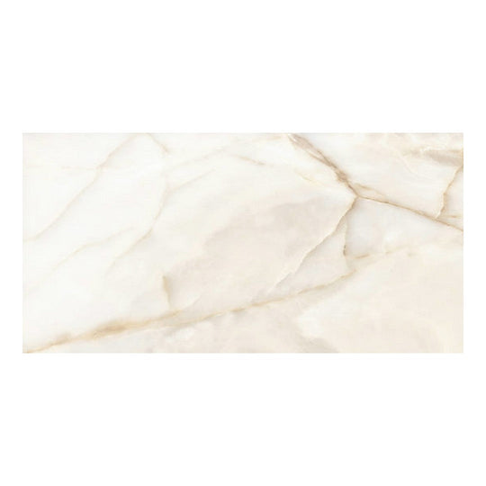 Qualis Ceramica 24" x 48" Romance Rectified Polished Porcelain Tile