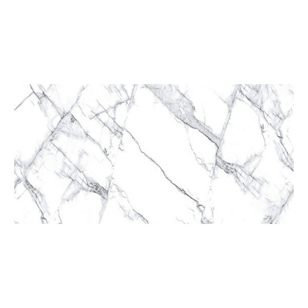 Qualis Ceramica 24" x 48" Treasure Polished Porcelain Tile