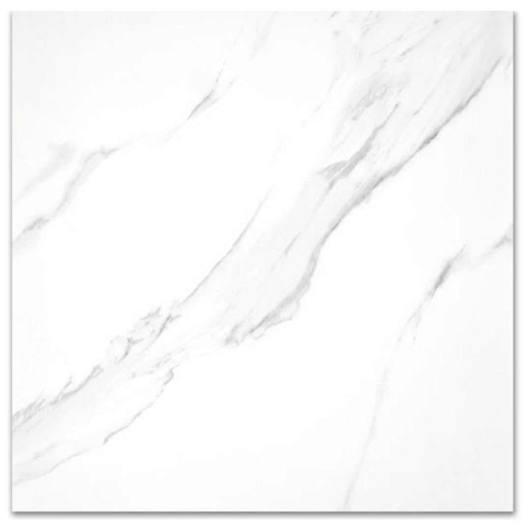Qualis Ceramica 24" x 24" Treasure Polished Porcelain Tile