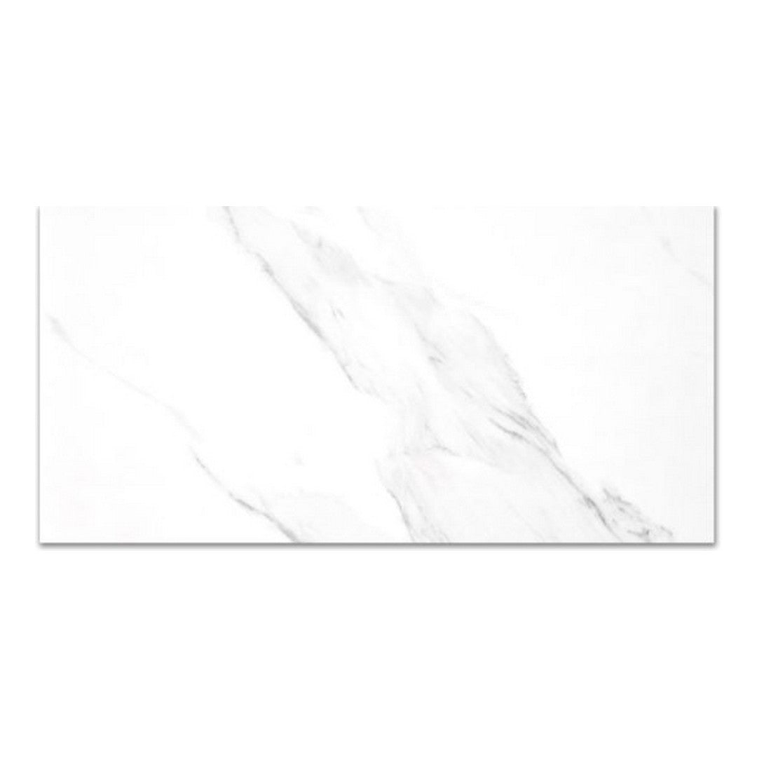 Qualis Ceramica 24" x 48" Treasure Polished Porcelain Tile