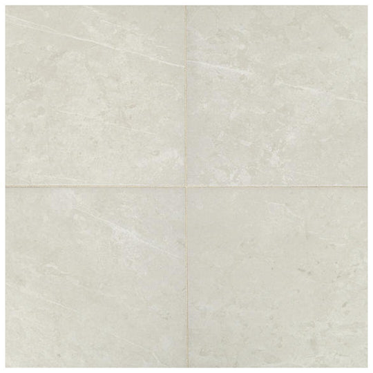 Daltile Prime 12" x 12" Matte Ceramic Floor Tile
