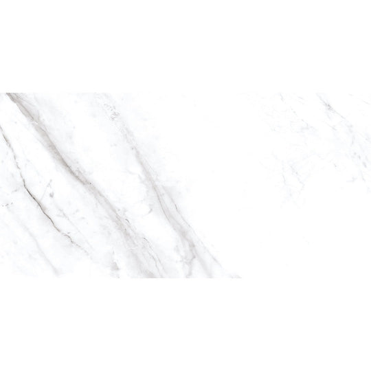 Ottimo Rezy 12" x 24" Polished Porcelain Tile