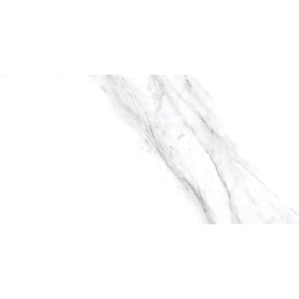 Ottimo Rezy 24" x 48" Polished Porcelain Tile