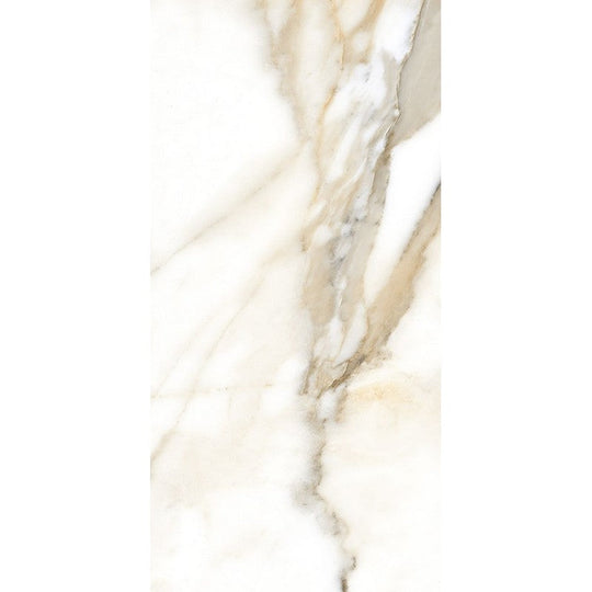 Rickert 24" x 48" Fanal Polished Porcelain Tile