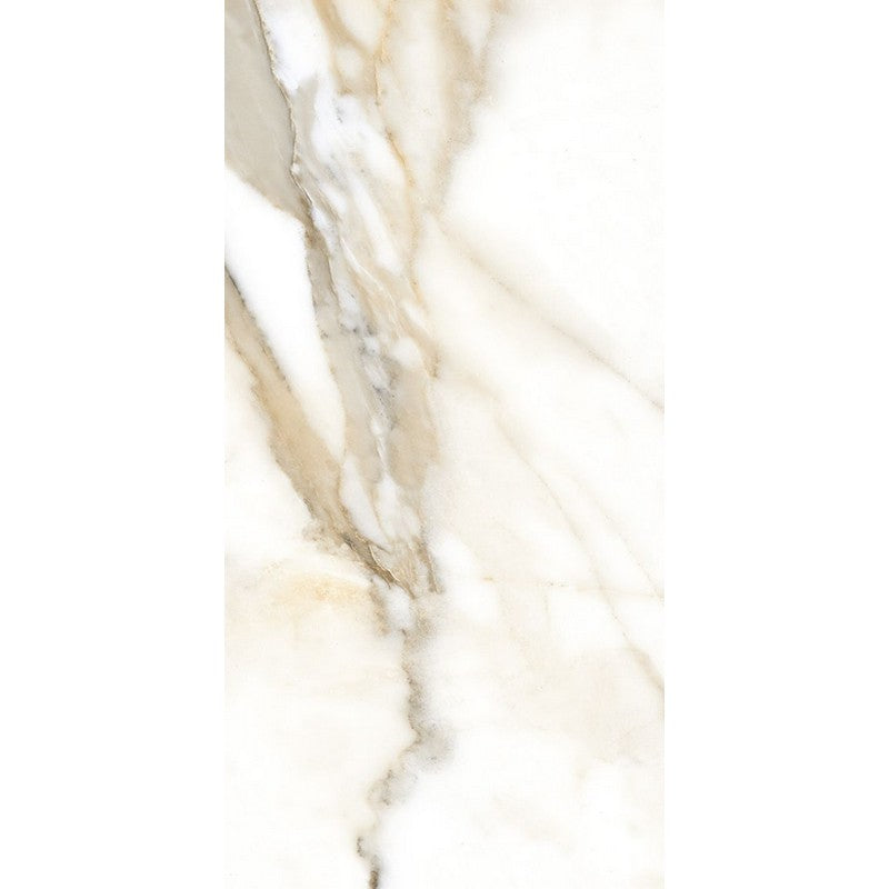 Rickert 24" x 48" Fanal Polished Porcelain Tile