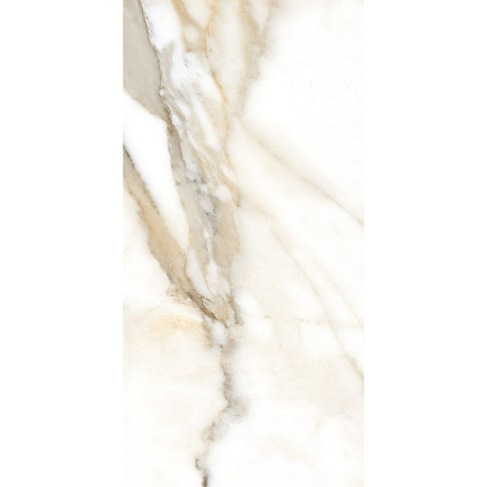 Rickert 24" x 48" Fanal Polished Porcelain Tile
