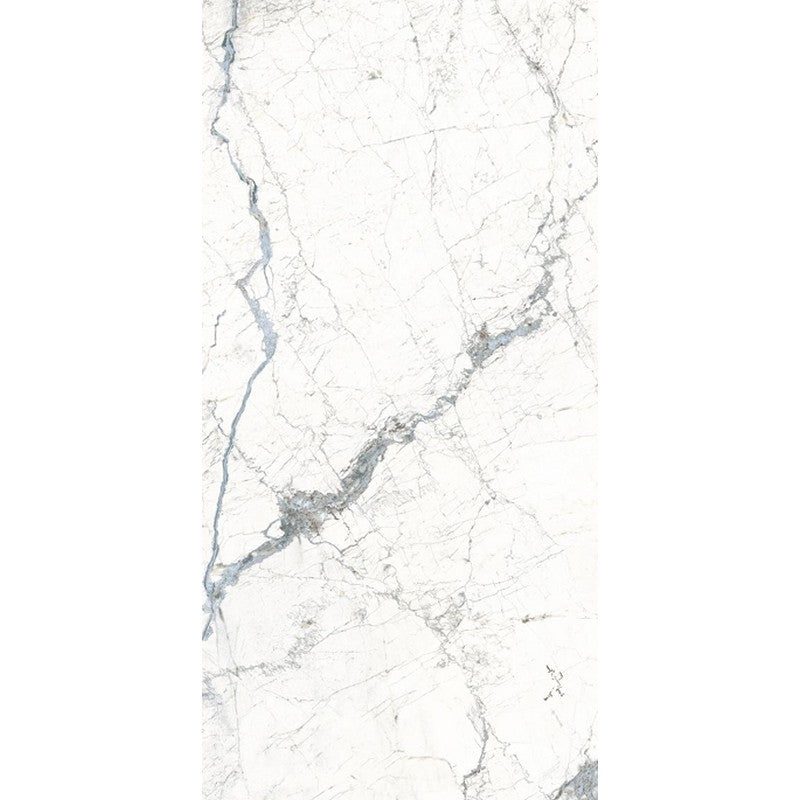Rickert 24" x 48" Fanal Windsor Polished Porcelain Tile