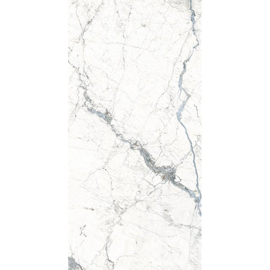 Rickert 24" x 48" Fanal Windsor Polished Porcelain Tile
