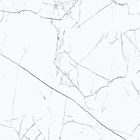 Rickert-24-x-24-Unicom-Starker-Muse-Polished-Porcelain-Tile-Reverse