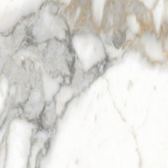 Rickert 24" x 24" Edimax Symphony Matte Porcelain Tile
