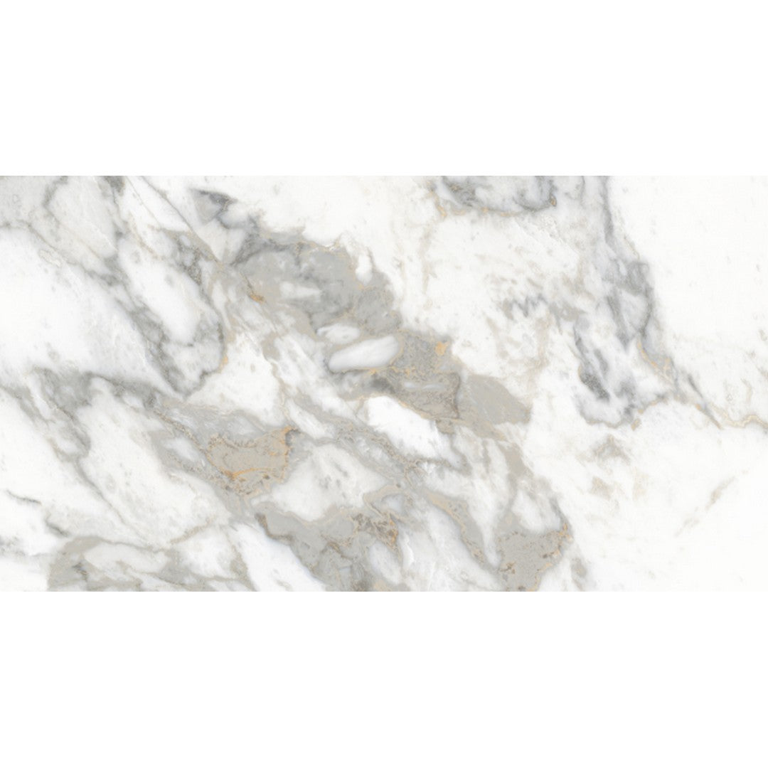 Rickert 24" x 48" Edimax Symphony Matte Porcelain Tile