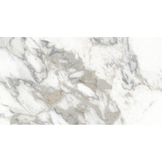 Rickert 24" x 48" Edimax Symphony Matte Porcelain Tile