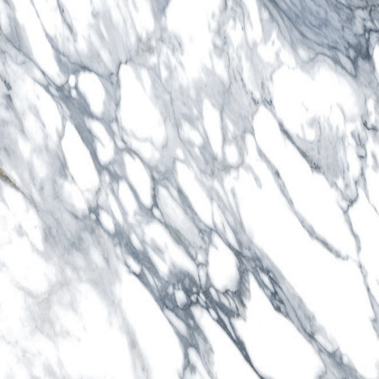 Rickert 24" x 24" Edimax Symphony Matte Porcelain Tile