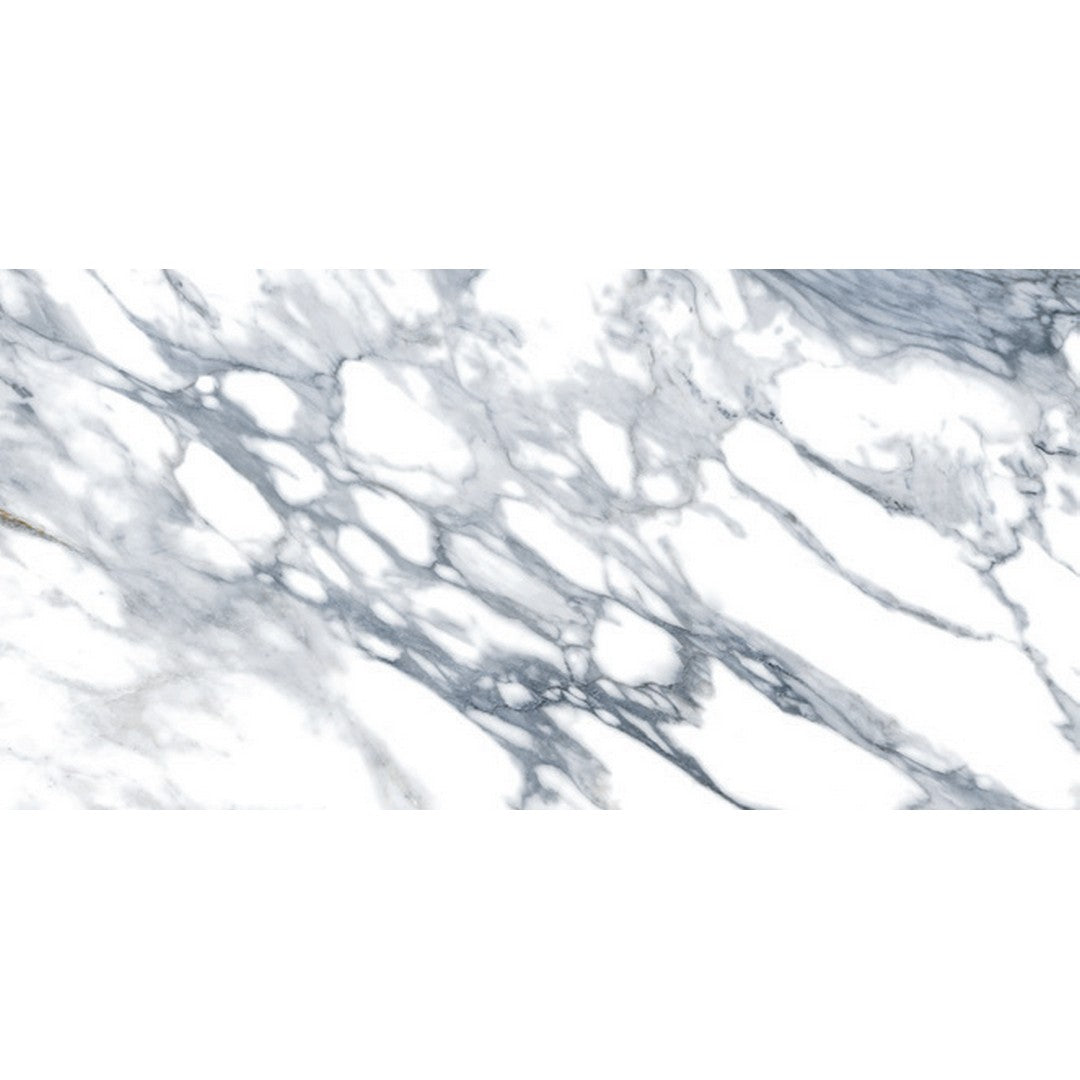 Rickert 24" x 48" Edimax Symphony Matte Porcelain Tile