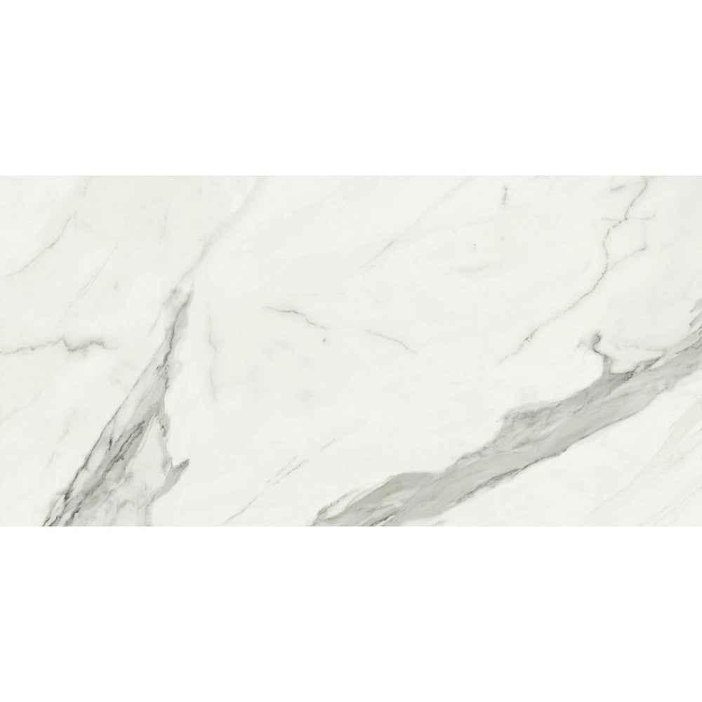 Rickert 24" x 48" Baldocer Porcelain Tile