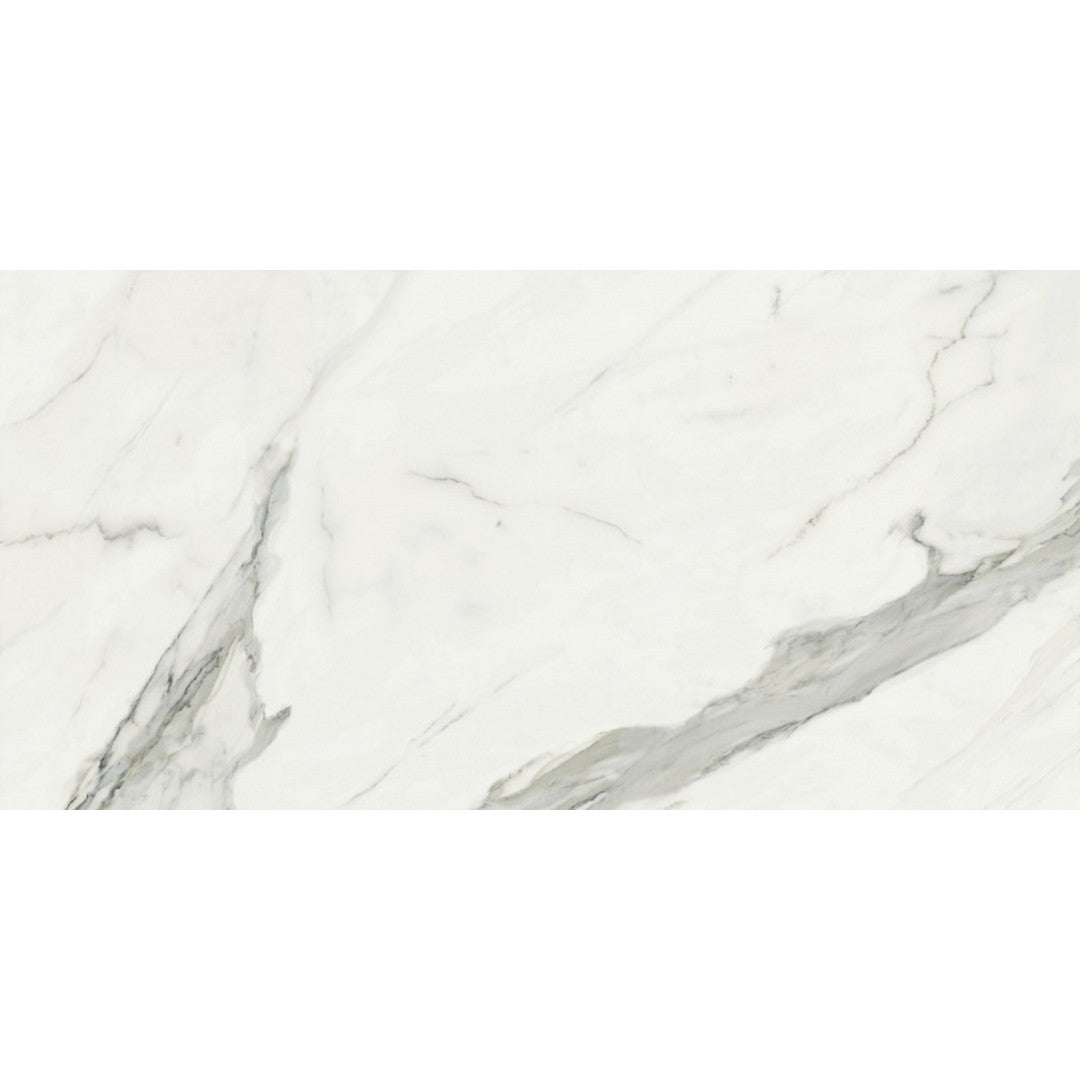 Rickert 24" x 48" Baldocer Porcelain Tile