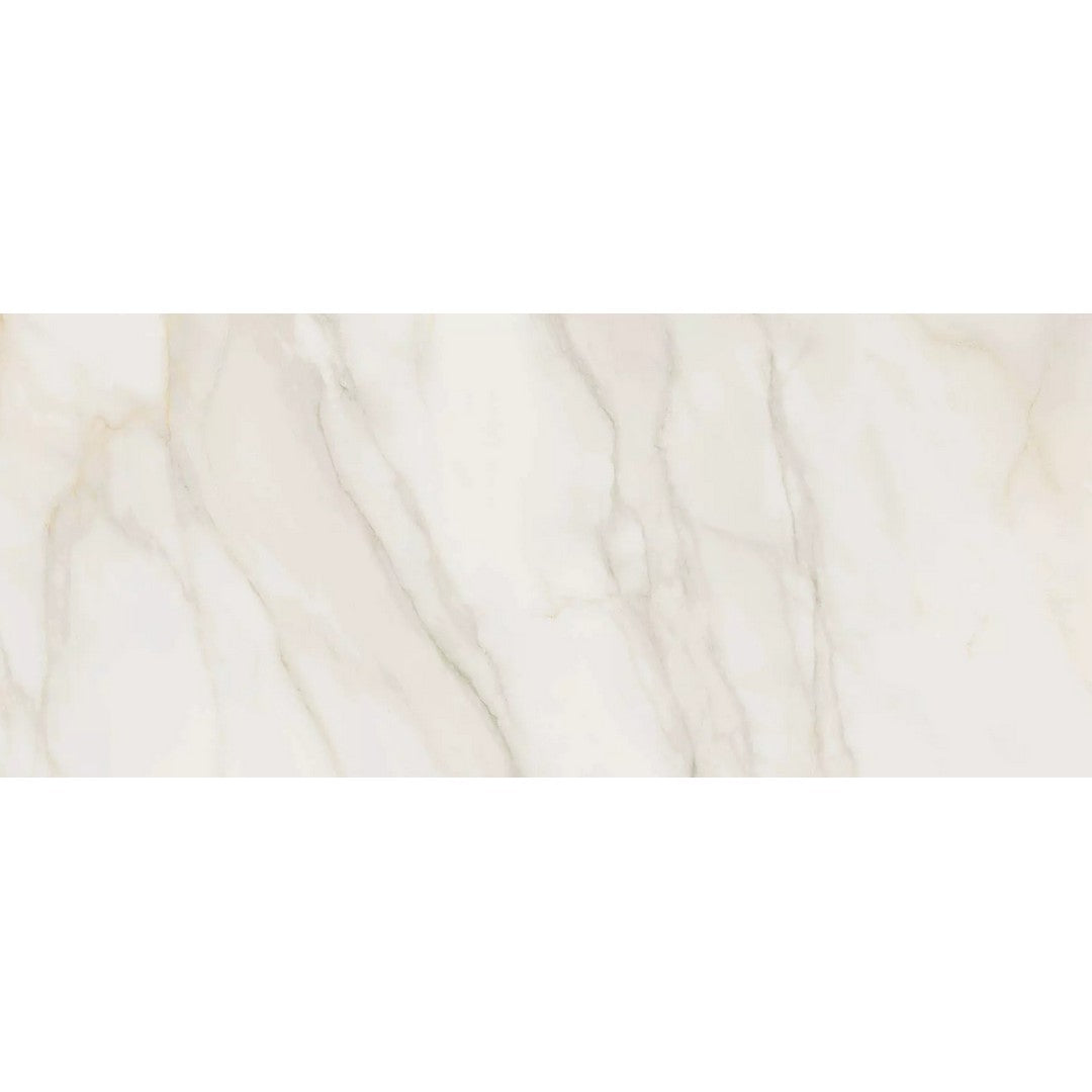 Rickert 12" x 24" Pamesa Polished Porcelain Tile