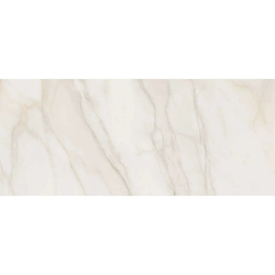 Rickert 12" x 24" Pamesa Polished Porcelain Tile