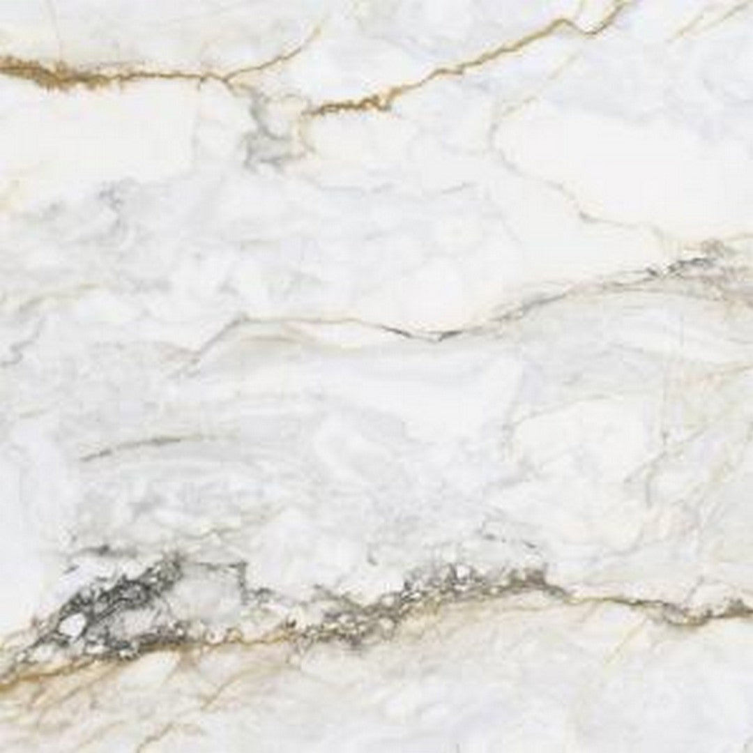 Rickert 48" x 48" Pamesa Pisa Polished Porcelain Tile