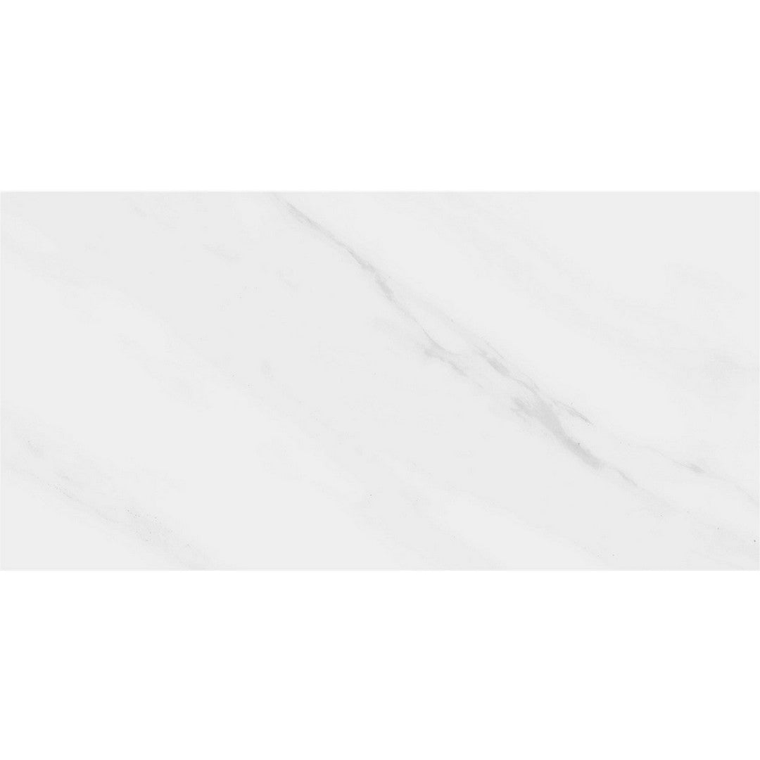 Rickert 12" x 24" Pamesa Polished Porcelain Tile