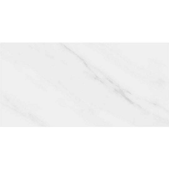 Rickert 12" x 24" Pamesa Polished Porcelain Tile
