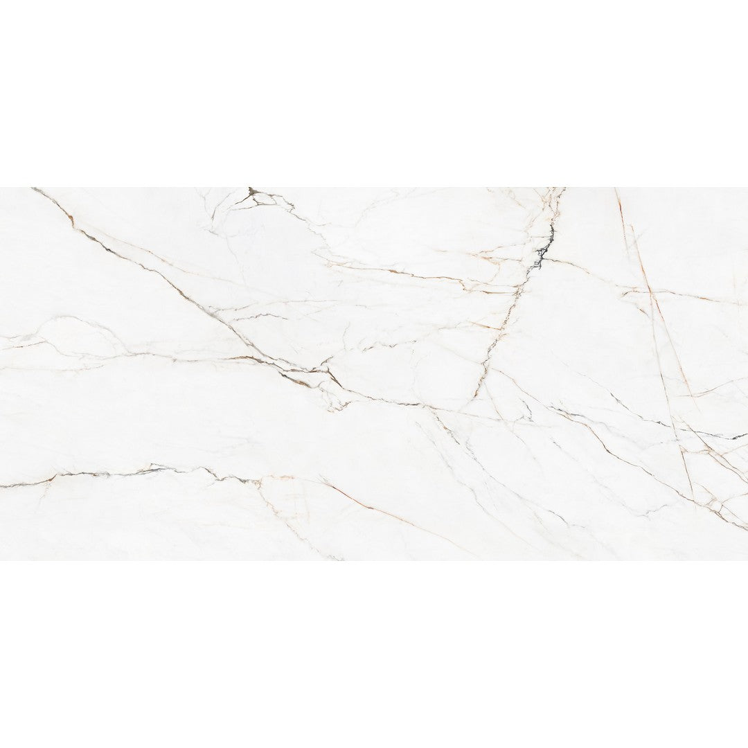 Rickert 12" x 24" Pamesa Polished Porcelain Tile