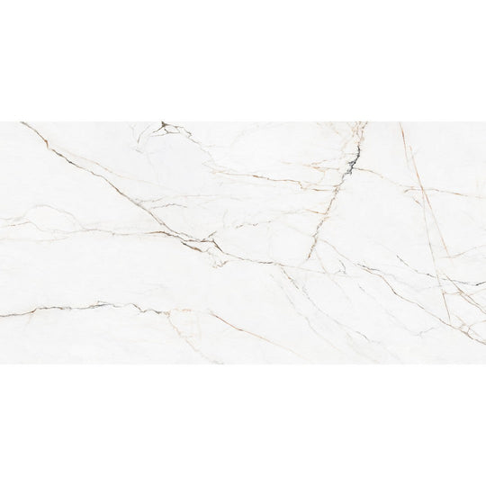 Rickert 12" x 24" Pamesa Polished Porcelain Tile