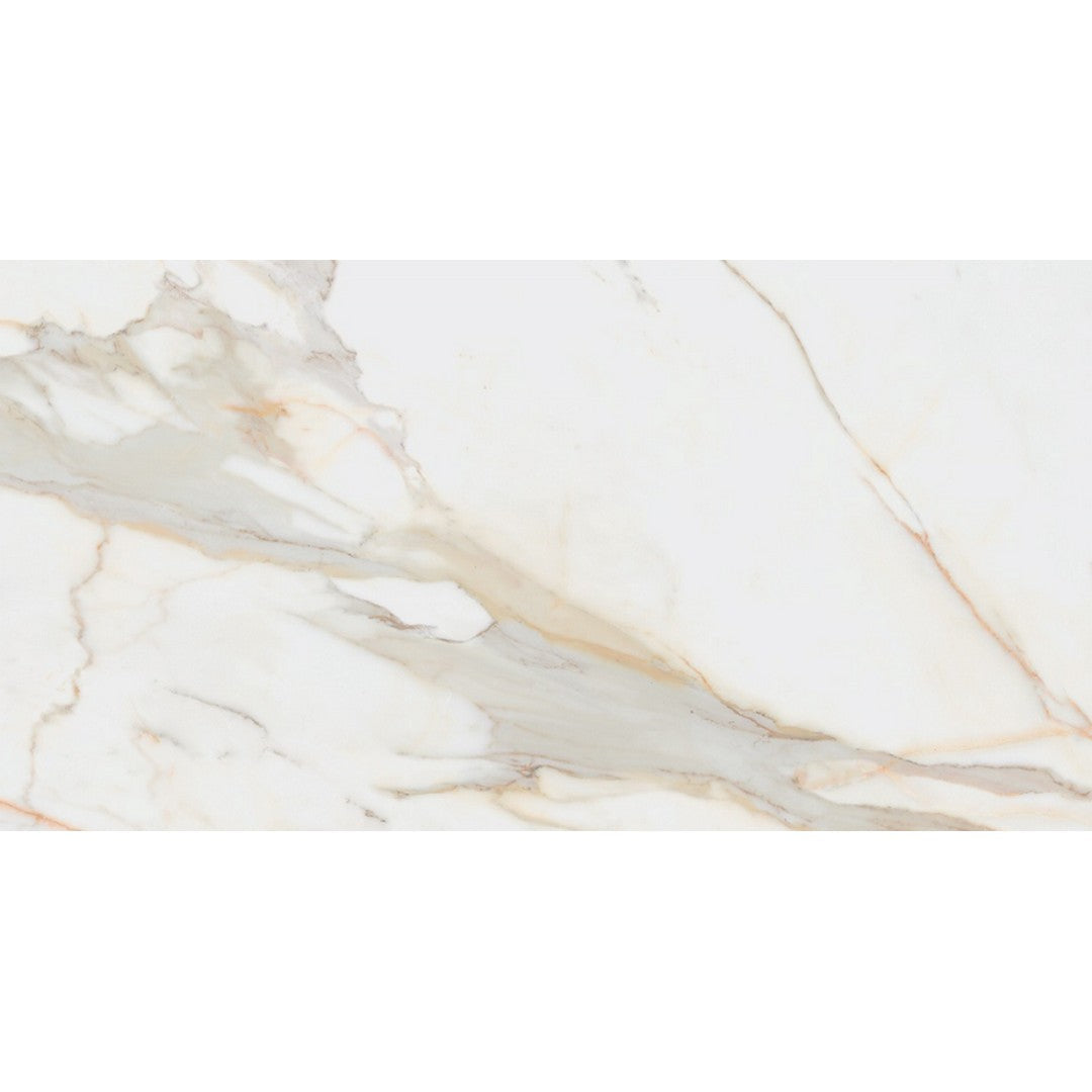 Rickert 12" x 24" Pamesa Polished Porcelain Tile