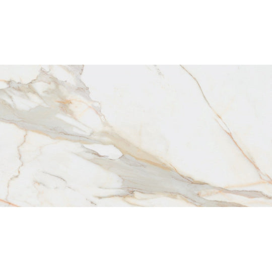 Rickert 12" x 24" Pamesa Polished Porcelain Tile