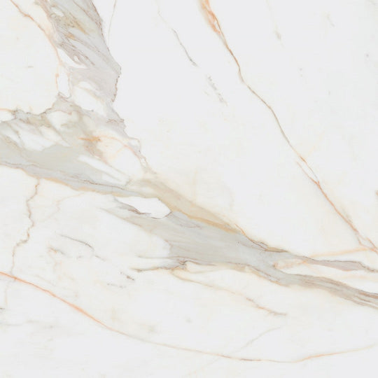 Rickert 24" x 24" Pamesa Polished Porcelain Tile