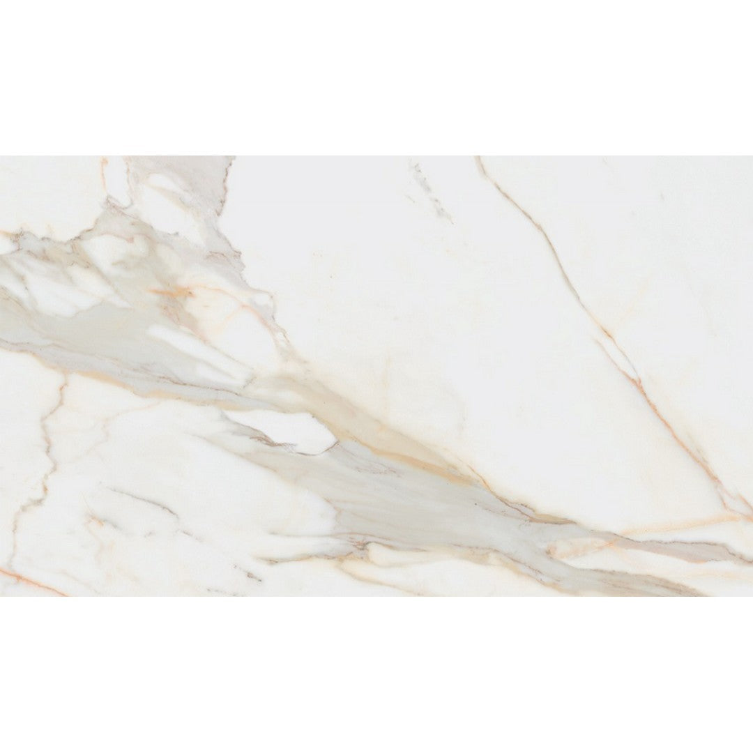 Rickert 24" x 48" Pamesa Polished Porcelain Tile