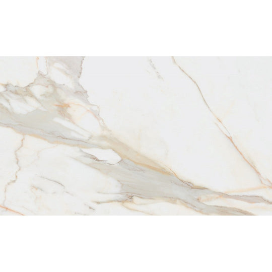 Rickert 24" x 48" Pamesa Polished Porcelain Tile