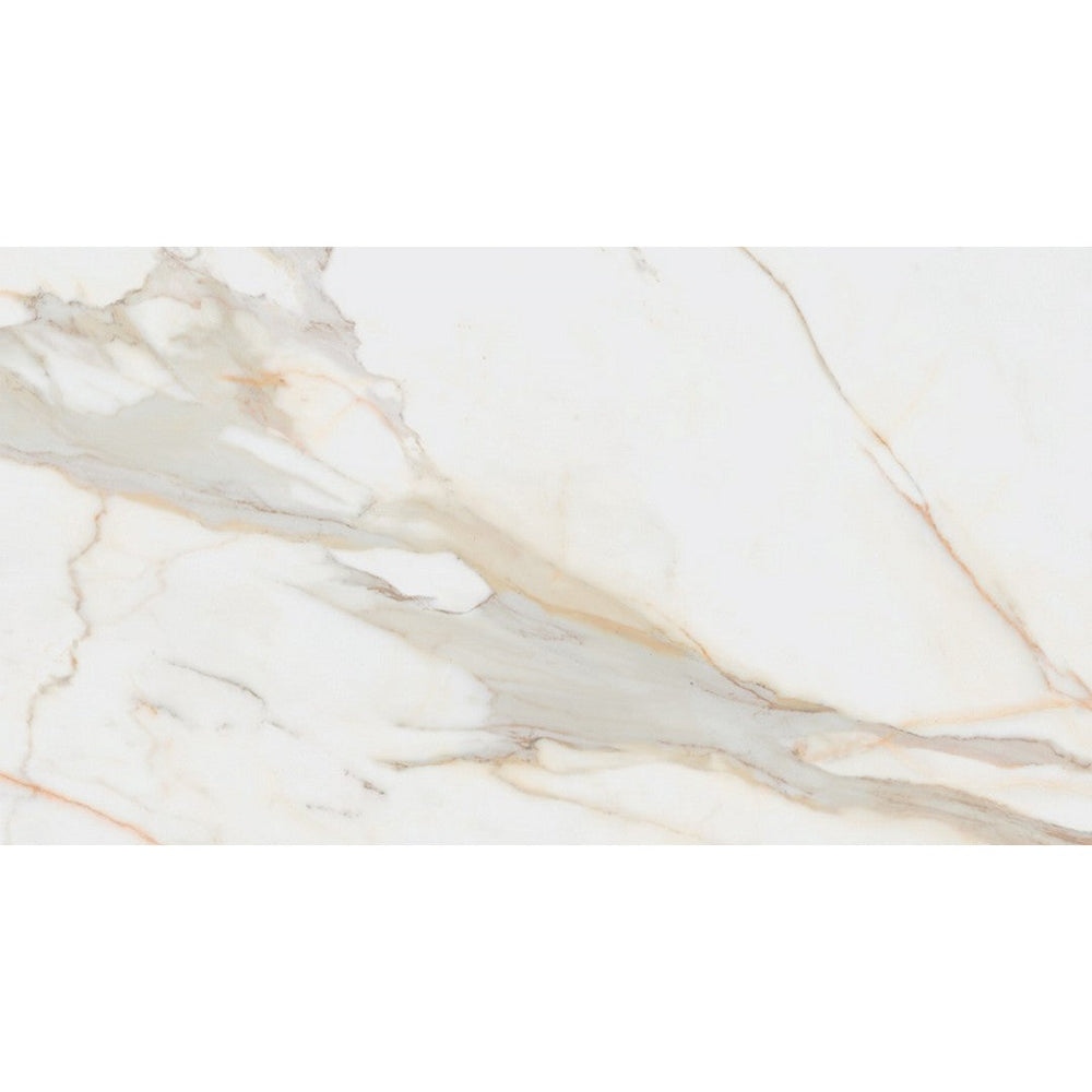 Rickert 12" x 24" Pamesa Matte Porcelain Tile