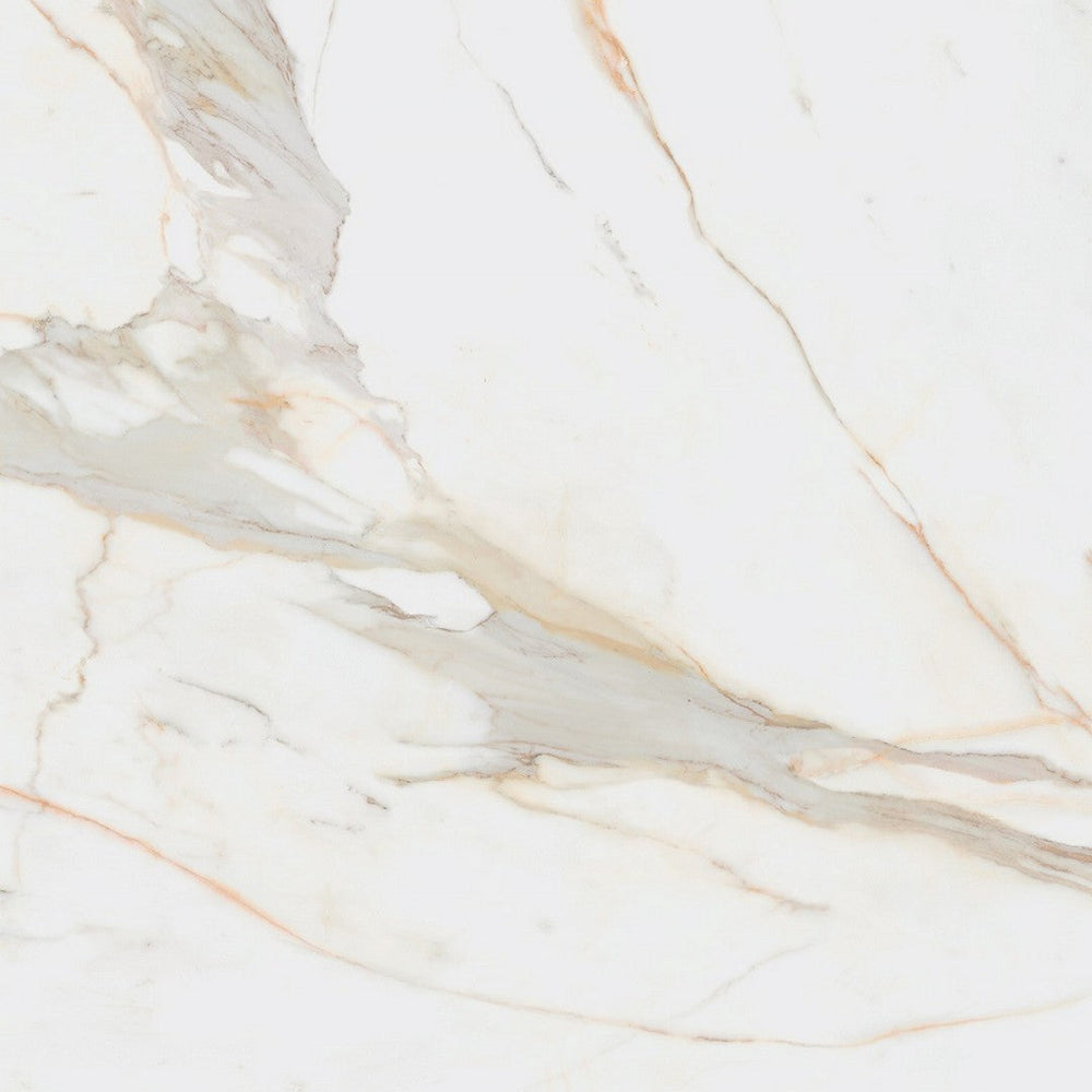 Rickert-24-x-24-Pamesa-Matte-Porcelain-Tile-Calacata-Gold