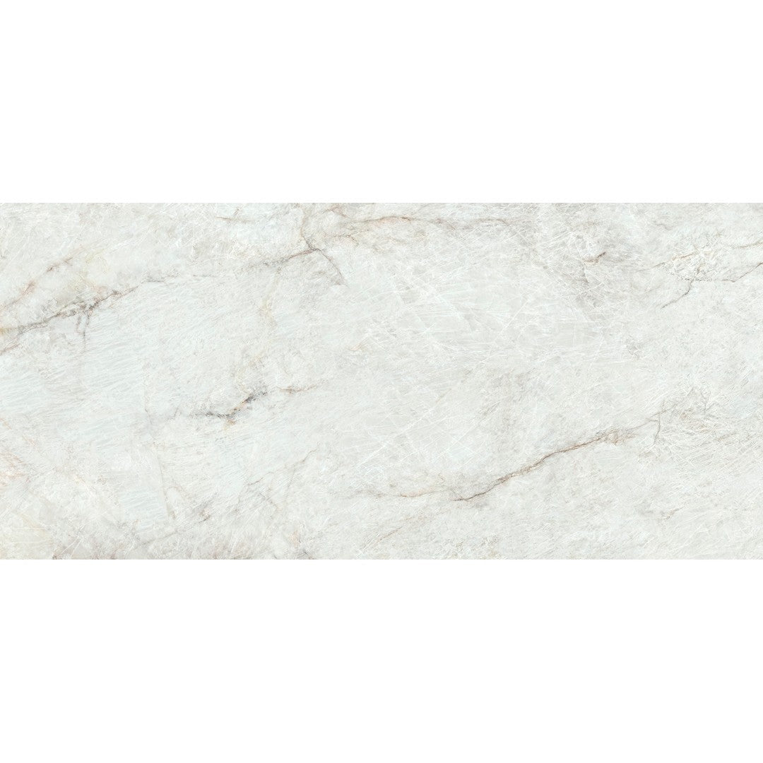 Rickert 24" x 48" Pamesa Polished Porcelain Tile