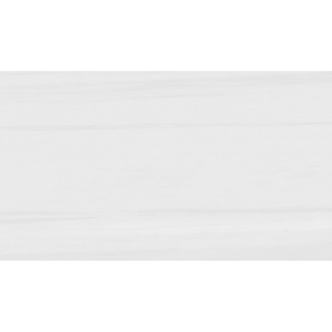 Rickert 12" x 24" Pamesa Polished Porcelain Tile