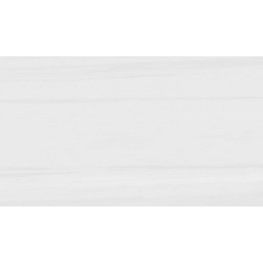 Rickert 12" x 24" Pamesa Polished Porcelain Tile