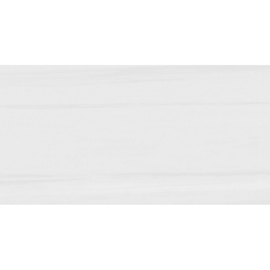 Rickert 24" x 48" Pamesa Polished Porcelain Tile