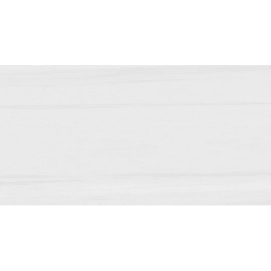 Rickert 24" x 48" Pamesa Polished Porcelain Tile