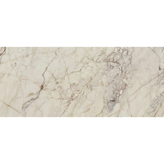 Rickert 24" x 48" Ape Oxyd Polished Porcelain Tile
