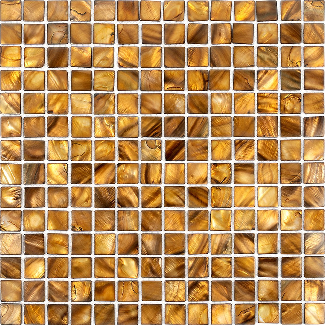 MiR Shell 12" x 12" Polished Shell Mosaic