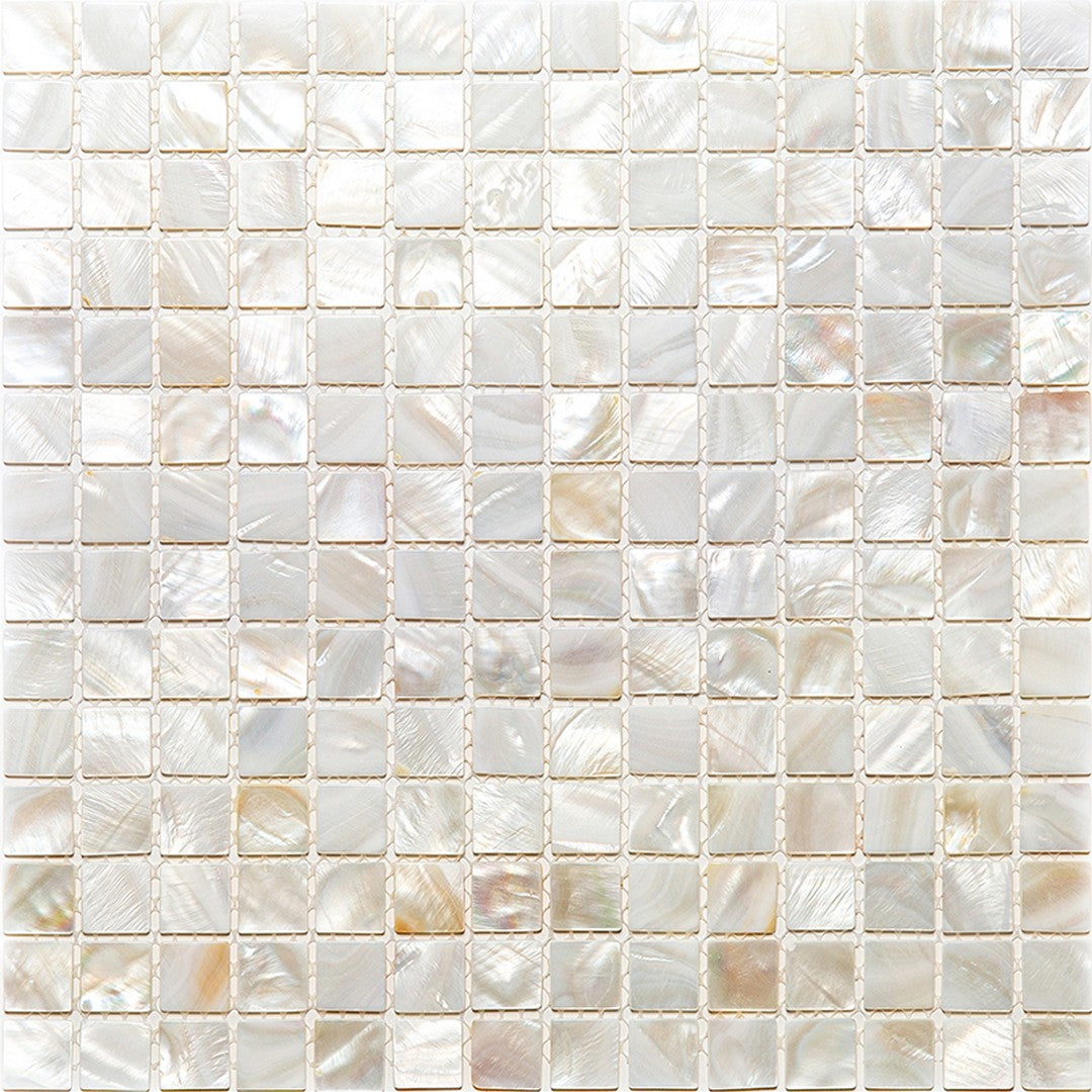 MiR Shell 12" x 12" Polished Shell Mosaic