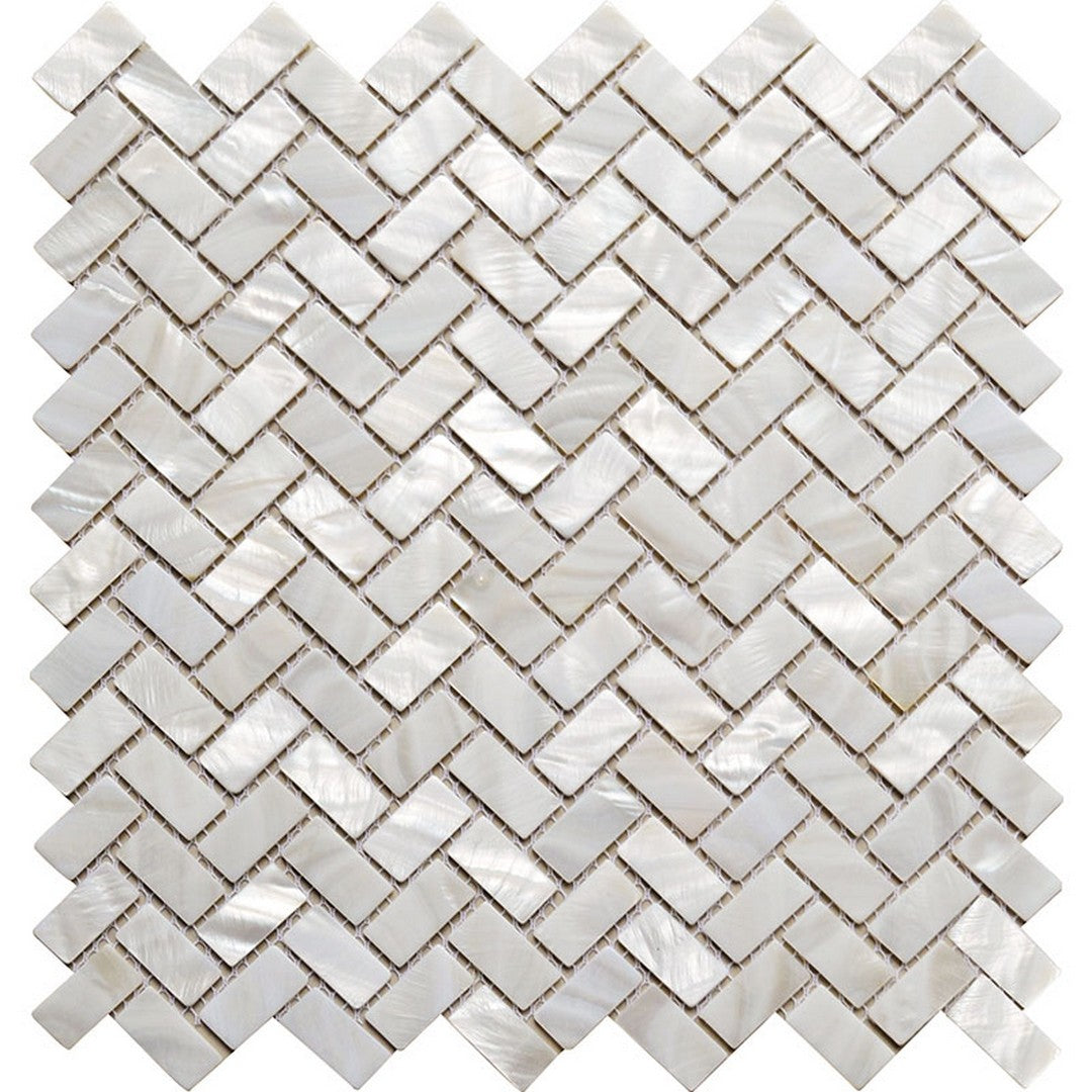 MiR Shell 10.6" x 11.2" Polished Shell Mosaic