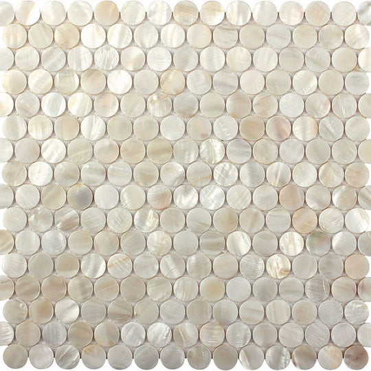 MiR Shell 11.6" x 11.6" Polished Shell Mosaic