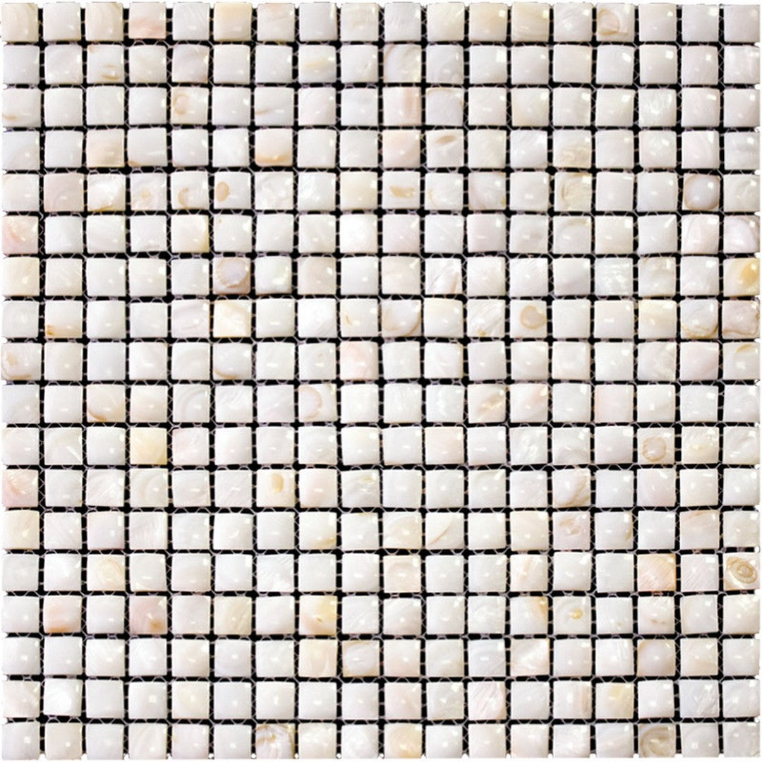 MiR Shell 12" x 12" Polished Shell Mosaic