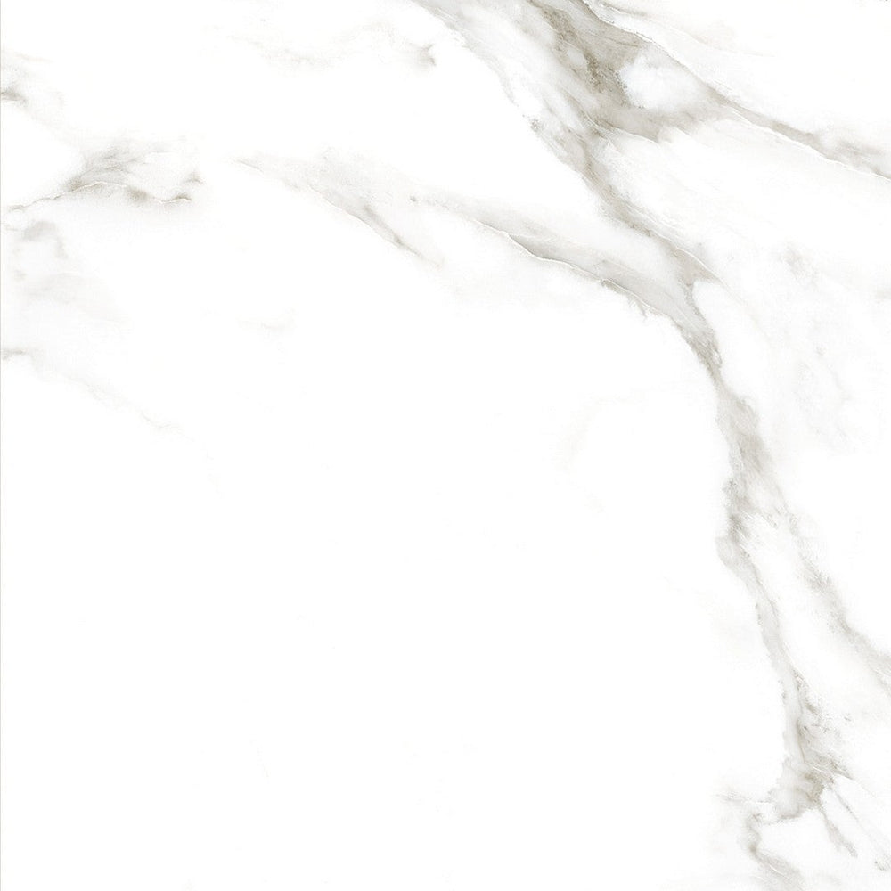 Tesoro 24" x 24" Larsen Rectified Polished Porcelain Tile
